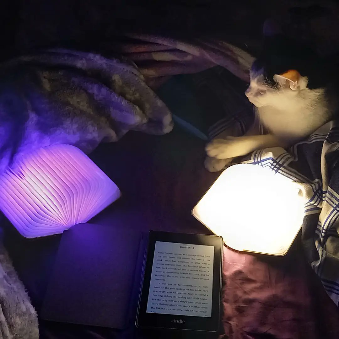 smbslt's tweet image. Another long night #cantsleep my wee #booklight one stays normal the other changes/rotates colour.  Little #paws is intrigued.  She may have seen the big one but not these wee ones.  #shattered #reading #latenight #kitty #cat xxx