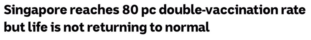 Do you still believe what the politicians telling you ? Singapore is future of Australia....what the joke
