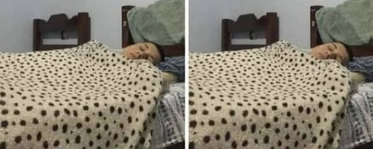 eaitazinho's tweet photo. eu indo dormir no frio // eu indo dormir no calor
slc consigo dormir sem coberta não https://t.co/4UqFt8GVDc
