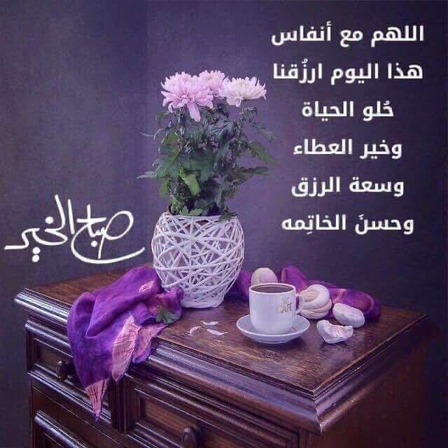 abo_ali1397's tweet photo. https://t.co/R34F9iSq3n