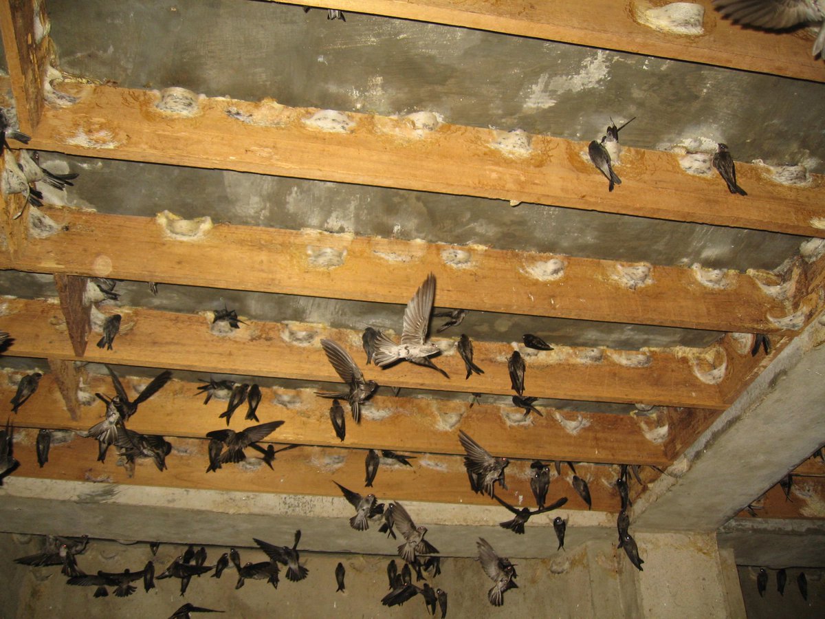 alasanku mundur?
aku                                               kamu