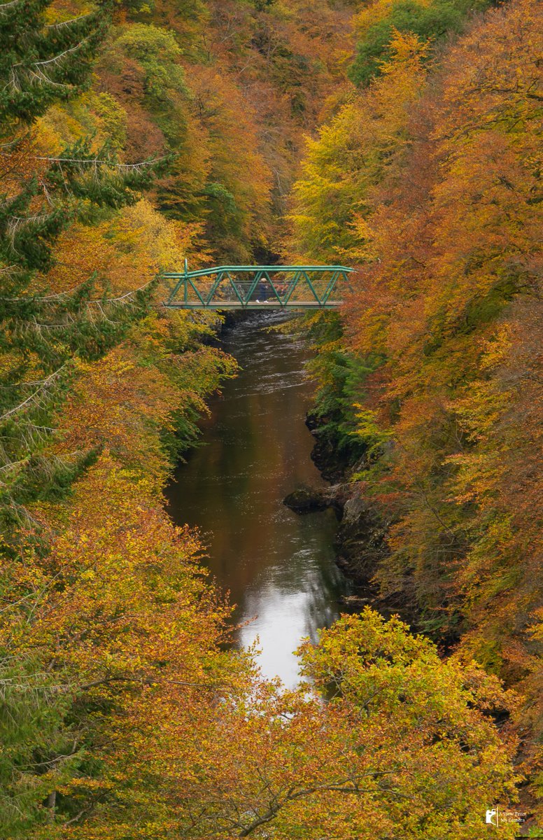 ViewFromCamera's tweet photo. Are we there yet?

#autumn #autumncolours #loveautumn #colourful #fallingleaves #woods #forest #trees #river #rivergarry #garrybridge #bridge #perthshire #Scotland #VisitScotland #YCW2021 #OnlyInScotland #lovescotland #Nikon #landscapephotography #aviewfrommycamera https://t.co/lbFusksQhD