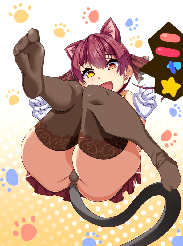 猫です。
 #マリンのお宝 