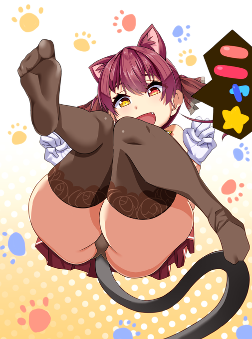 猫です。
 #マリンのお宝 