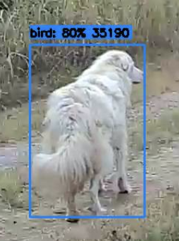 Dana Brunson tweet media