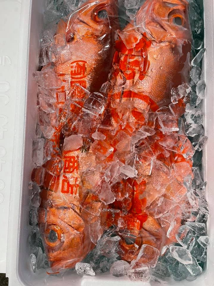 魚屋の大将 しばた おさかな料理の柴田屋 公式 パパッと簡単 おうちで手料理 キントキダイという魚です 金沢では金八 きんぱち とも呼ばれます 見た目が金目鯛に似ていますが違う種類の魚で ウロコも金目鯛に比べると固いです あまりメジャー 魚屋の大将 しばた おさかな料理の柴田屋 公式 パパッと簡単 おうちで手料理 キントキダイという魚です 金沢では金八 きんぱち とも呼ばれます 見た目が金目鯛に似ていますが違う種類の魚で ウロコも金目鯛に比べると固いです あまりメジャー