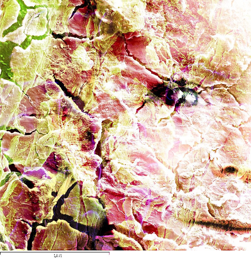 ElectronKiss's tweet image. Hey people at #ScienceComm21 did you know that it is 

#SciArtSeptember ?

The desert is #arid with sparse vegetation.

#SciArt #Art #SEM #ScanningElectronMicroscopy #KissedByElectrons @ScienceEtCite @sciencecomm
@FlyingTrilobite @liz_lagomorph @ScicommC @GNSIorg @zeiss_micro