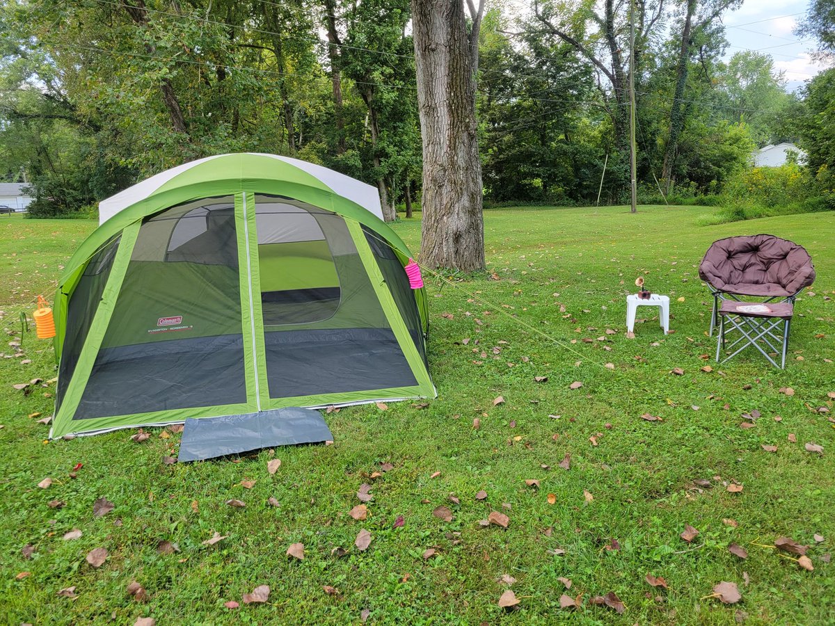 Stainonthepage's tweet image. All ready for the #ROMPfest #bluegrass