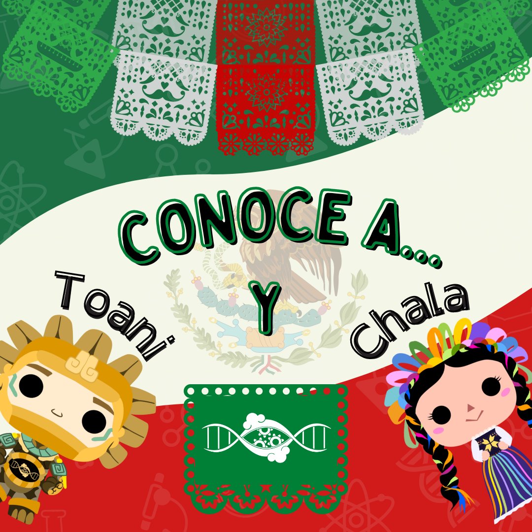 ollin_synbio's tweet photo. Con motivo de estas fechas patrias, te presentamos dos personajes de un proyecto que estamos desarrollando dentro de Ollin SynBio ¡Pronto presentaremos a más, los cuales representan el origen mexicano de Ollin! 🇲🇽🌮🪅🥳
#México #OllinSynBio #15deseptiembre #iGEM #DesignLeague https://t.co/u0yito5lM8