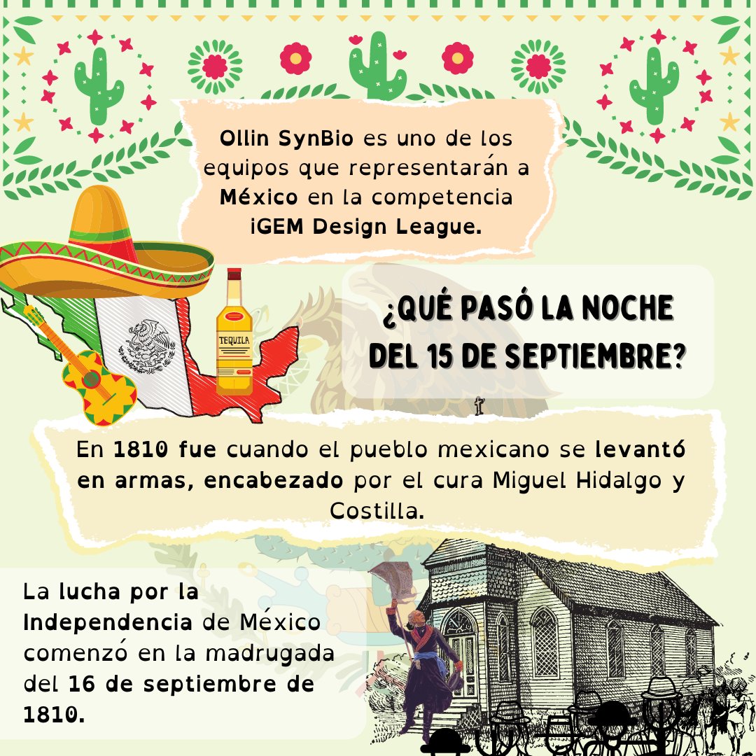ollin_synbio's tweet photo. Con motivo de estas fechas patrias, te presentamos dos personajes de un proyecto que estamos desarrollando dentro de Ollin SynBio ¡Pronto presentaremos a más, los cuales representan el origen mexicano de Ollin! 🇲🇽🌮🪅🥳
#México #OllinSynBio #15deseptiembre #iGEM #DesignLeague https://t.co/u0yito5lM8