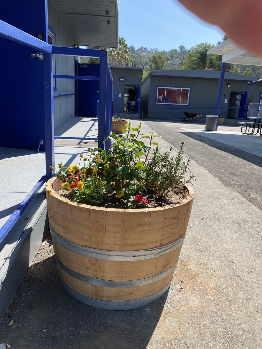 Keith Nuthall tweet media