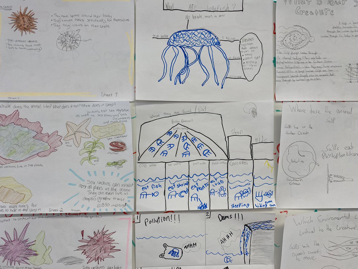 Keith Nuthall tweet media