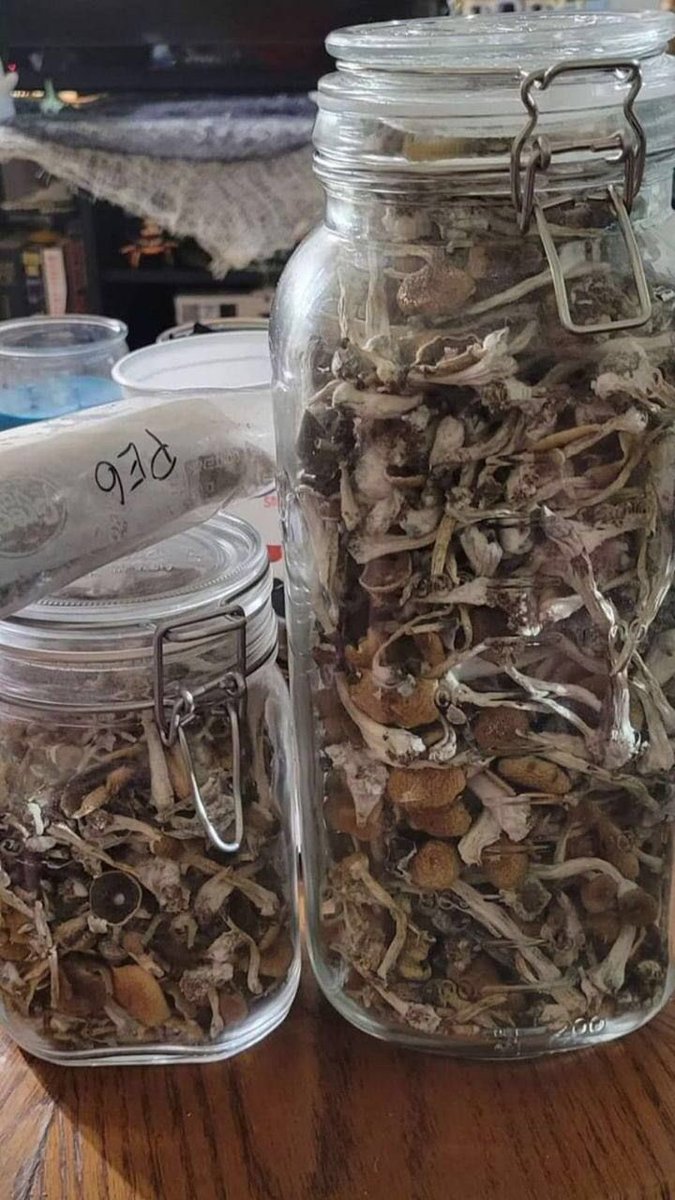 Properly harvested and preserved Shrooms.  Some of the best you’ll find out here.