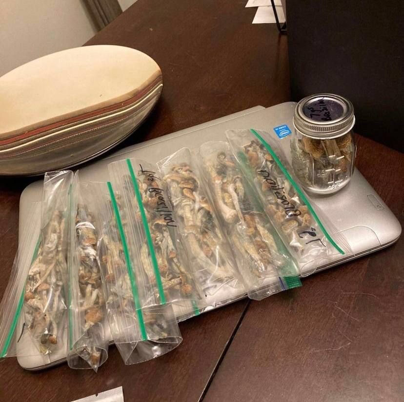 Well preserved and packaged shrooms. Don’t hesitate to hit me up. You won’t regret it.