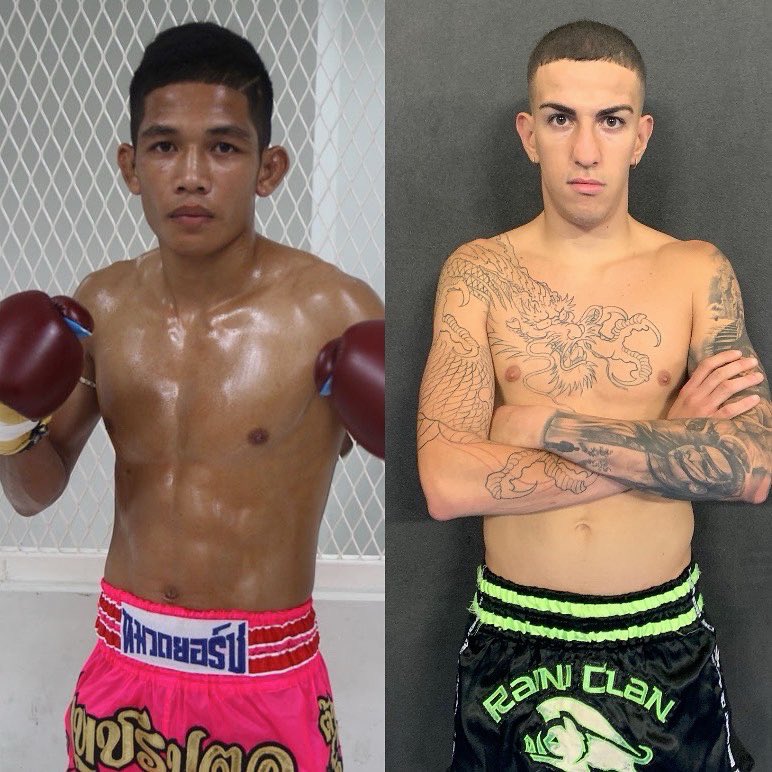 Lion Fight tweet media