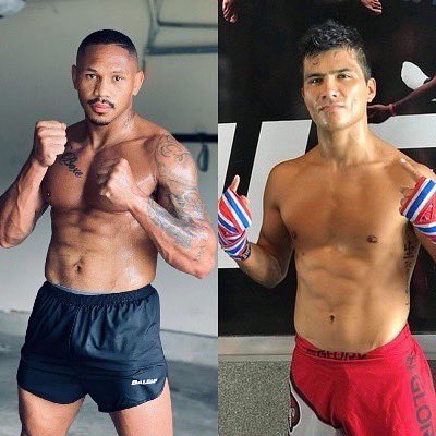 Lion Fight tweet media