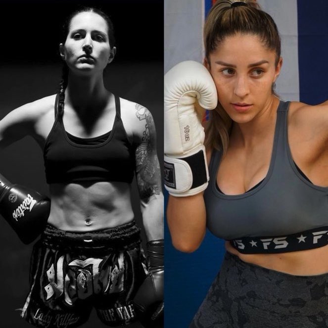 Lion Fight tweet media