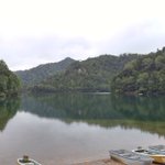 ツイートに含まれる画像