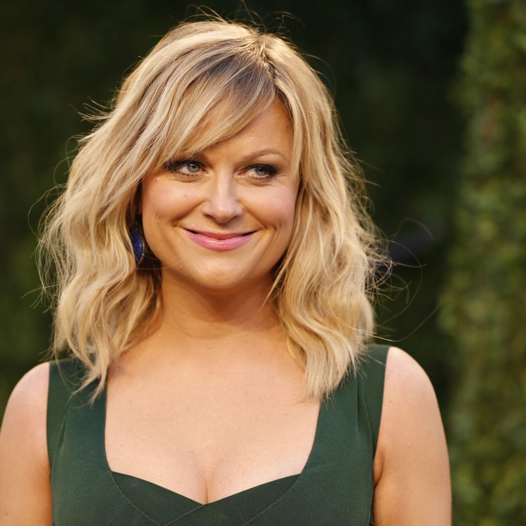 HAPPY BIRTHDAY TO THE LOVE OF MY LIFE AMY POEHLER 