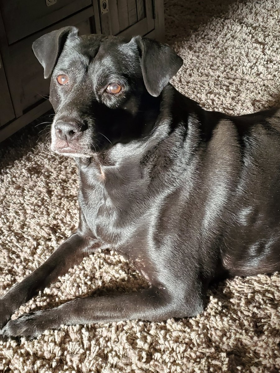 cleveld's tweet image. 