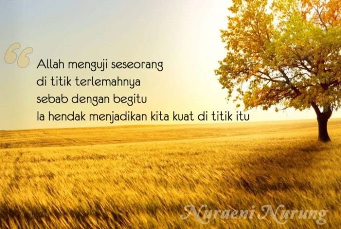 capittt tweet media