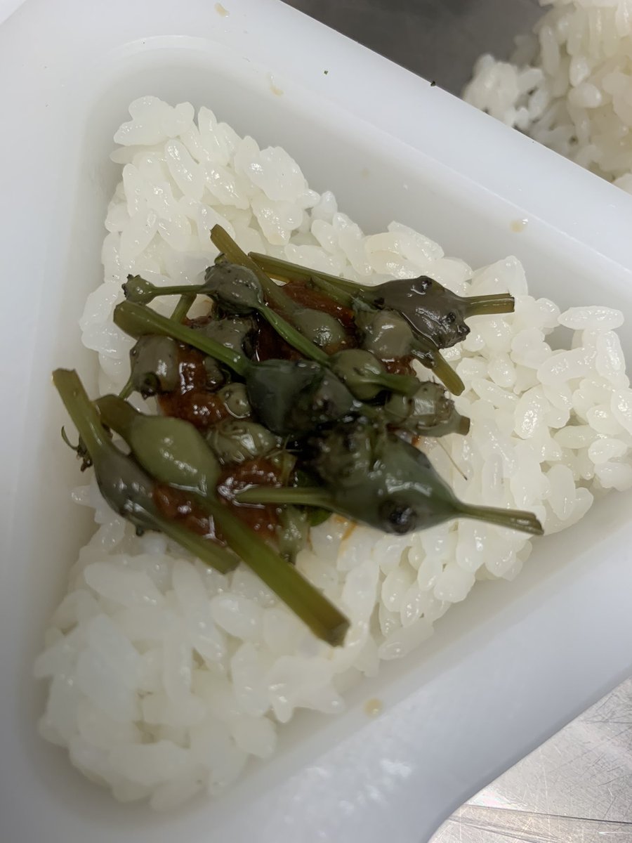 Onigiriya88's tweet photo. 看板が出来たのでもう一度ご案内。
〝穴子飯〟絶賛販売中です！
秋田県よりの〝みずの実〟も季節限定販売中です。どうぞお楽しみください https://t.co/lJO1A42oNU