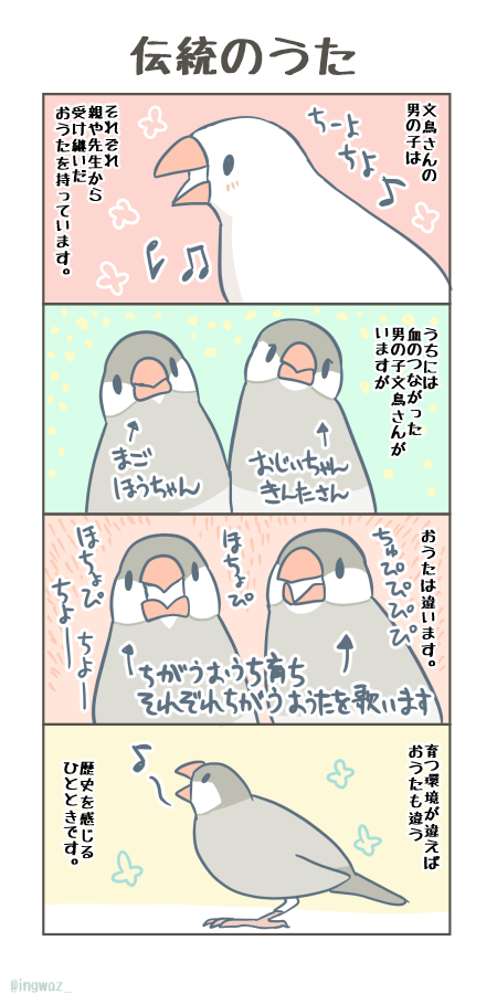 以前書き溜めていたぶんですが
文鳥さんの伝統のおうた。

#Buncho #javasparrow #文鳥 