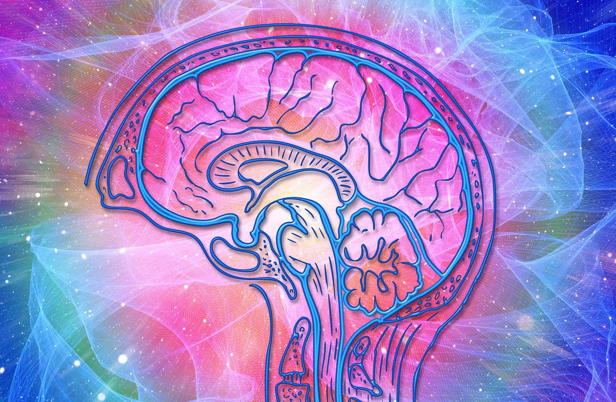 DID YOU KNOW; A single dose of ayahuasca improves self-perception of speech performance in socially anxious people, study finds