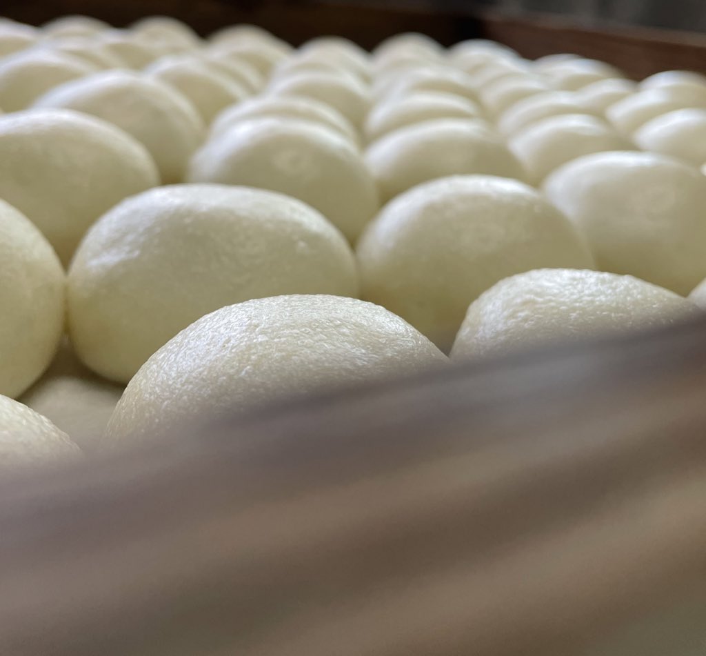 乙まんじゅうや 公式 地方発送承ります 今日は ハイビジョンの日 9 16がハイビジョン画面のサイズ比率です て事で本日の乙まんじゅうはハイビジョン対応画像でいきm たぶんこんなサイズですね そうに違いない 王ザッパ 217歳饅頭皇帝 ホント