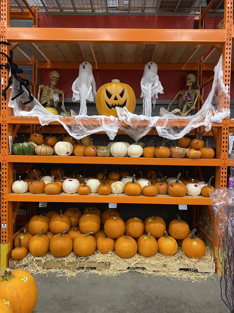 Come get your pumpkins! Altamonte Springs Pumpkin patch is up and ready for business. Thank you  to this great team for your help !! #boo #pumpkinpatch #happyhalloween #0263