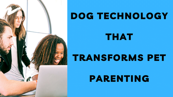 DMGroundControl's tweet image. Advances In Dog Technology That Transforms Pet Parenting upflow.co/l/PBEd