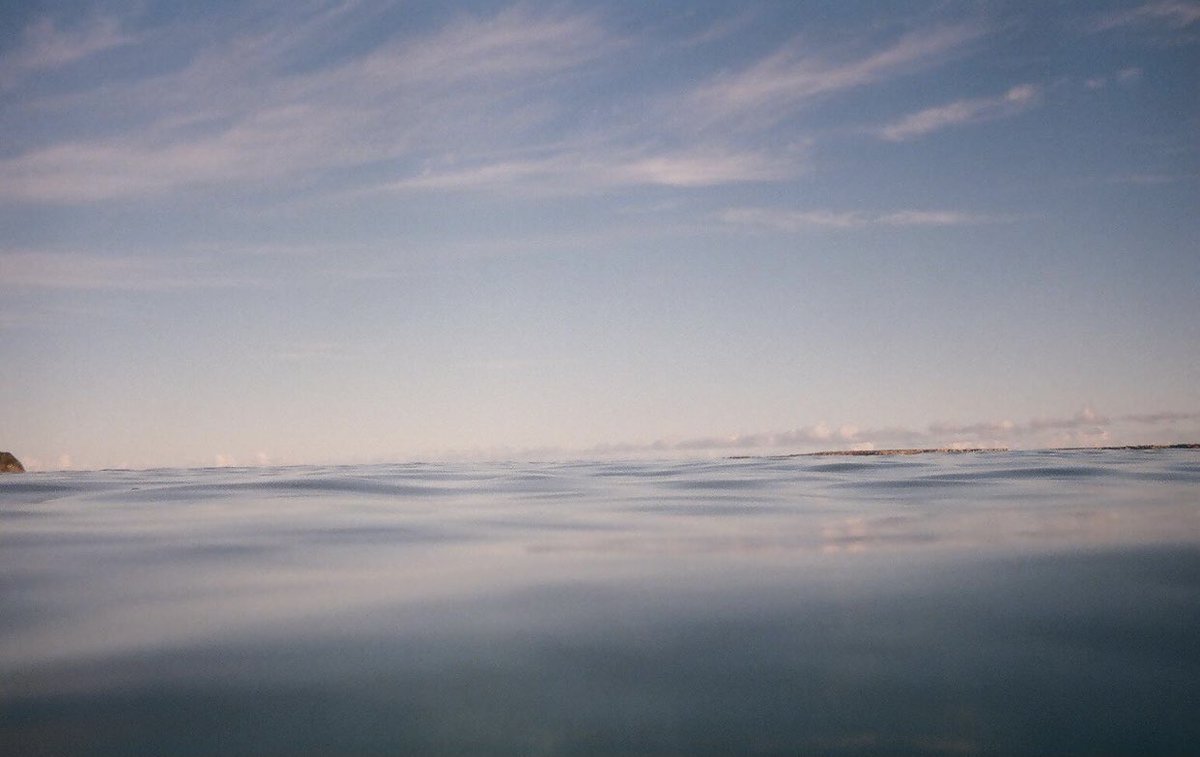 EmilyKicsak's tweet photo. — 35mm https://t.co/A94mnwUTUe