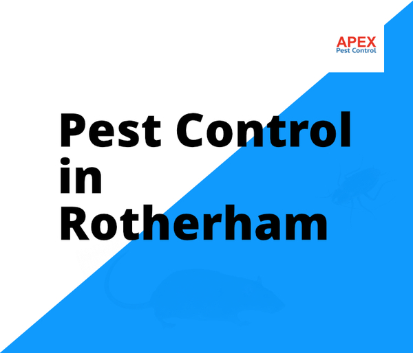 pestworksapp's tweet photo. Pest Control In Rotherham Your best price Safe Treatment &amp; service https://t.co/LrGUdjKPgX https://t.co/dk3FTCPwFo