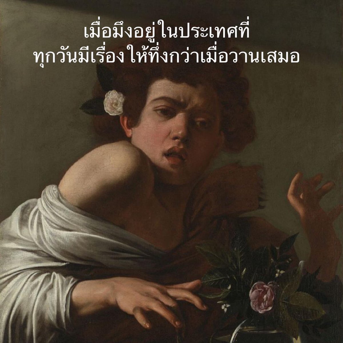 ฝ้ายซ่าส์ tweet media