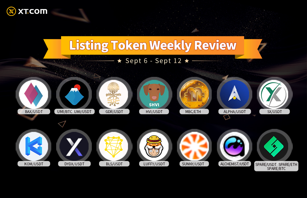 XT Exchange 🚀 tweet media
