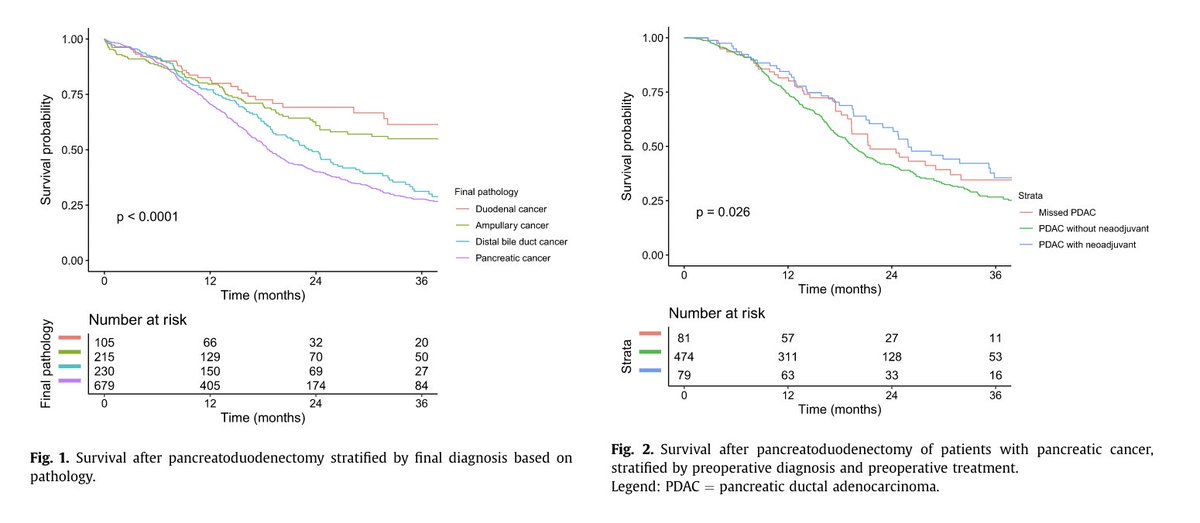 European Journal of Surgical Oncology (@ejsotweets) on Twitter photo Preoperative misdiagnosis of pancreatic/periampullary cancer in pts undergoing PD: A multicentre 🇳🇱 retrospective cohort study
<a href="/StijnvanRoessel/">Stijn van Roessel</a> <a href="/MarcBesselink/">Marc Besselink</a> <a href="/Caspervaneijck/">Casper van Eijck</a>
<a href="/DPCG_official/">DPCG</a> <a href="/EAHPBA/">E-AHPBA</a> <a href="/TheAhpbaPodcast/">The AHPBA Podcast</a> <a href="/ESSOnews/">European Society of Surgical Oncology (ESSO)</a> <a href="/YouppiePancreas/">YOUPPIE Pancreas</a> <a href="/EurPancClub/">EPC-Europ Pancr Club</a>
bit.ly/2VJ8IJS Preoperative misdiagnosis of pancreatic/periampullary cancer in pts undergoing PD: A multicentre 🇳🇱 retrospective cohort study
<a href="/StijnvanRoessel/">Stijn van Roessel</a> <a href="/MarcBesselink/">Marc Besselink</a> <a href="/Caspervaneijck/">Casper van Eijck</a>
<a href="/DPCG_official/">DPCG</a> <a href="/EAHPBA/">E-AHPBA</a> <a href="/TheAhpbaPodcast/">The AHPBA Podcast</a> <a href="/ESSOnews/">European Society of Surgical Oncology (ESSO)</a> <a href="/YouppiePancreas/">YOUPPIE Pancreas</a> <a href="/EurPancClub/">EPC-Europ Pancr Club</a>
bit.ly/2VJ8IJS