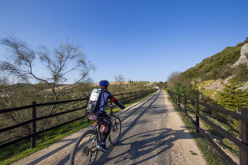 vanwoow (@vanwoow) on Twitter photo 🚴♀️¿Te gustan las vías verdes? ¡Apúntate éstas!📝
1️⃣Vía verde del Aceite: 128 km
2️⃣Vía Verde de los Alcores: 25 km
3️⃣Vía Verde de la Campiña: 30 km
¿Has hecho alguna de ellas? ¡Cuéntanos!
❗ info en: bit.ly/3tIwLFD
<a href="/caminosdepasion/">Caminos_de_pasión</a> 🚴♀️¿Te gustan las vías verdes? ¡Apúntate éstas!📝
1️⃣Vía verde del Aceite: 128 km
2️⃣Vía Verde de los Alcores: 25 km
3️⃣Vía Verde de la Campiña: 30 km
¿Has hecho alguna de ellas? ¡Cuéntanos!
❗ info en: bit.ly/3tIwLFD
<a href="/caminosdepasion/">Caminos_de_pasión</a>