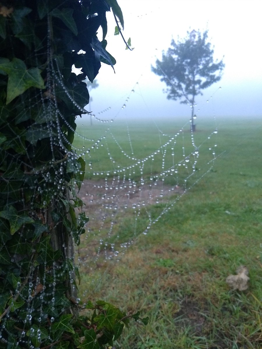 Autumn is definitely here!