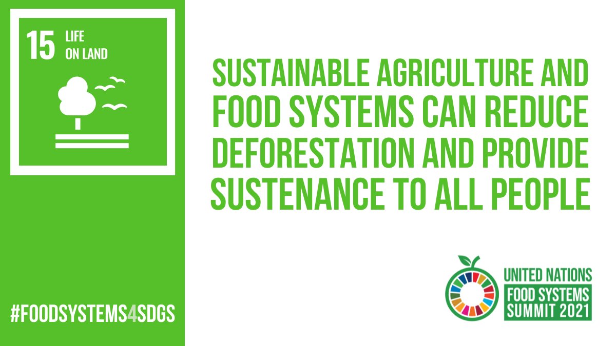 #NewPlantVarieties can sustainably increase productivity and product quality in agriculture, horticulture and forestry 📈, whilst minimizing the pressure on the natural environment 🌱 ☑️
#FoodSystems4SDGs #SDG15
ow.ly/9UnX50Ga9SB

@FoodSystems