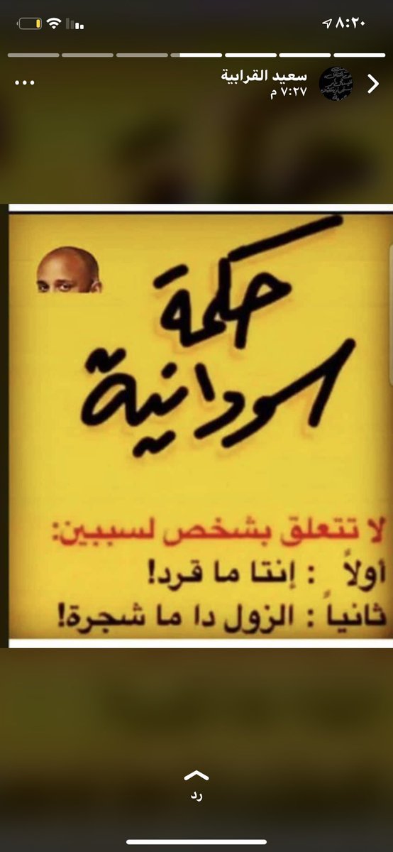 P804e's tweet image. 