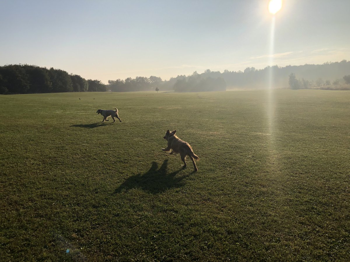 Sooo lucky to just be alive &amp; enjoying a gorgeous morning. Feel like such an old fart saying that, but I genuinely just appreciate the really simple stuff☀️🍂