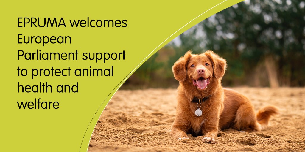 epruma1's tweet photo. Many thanks to MEPs for supporting the science!

#AnimalHealthMatters too.

Our #pressstatement: https://t.co/zrNrMOOPbt https://t.co/VIF2Rm7uLf