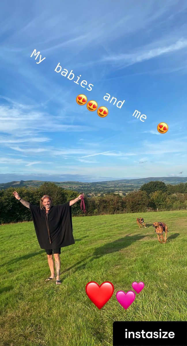s14stu's tweet photo. Love this picture, beautiful background with my beautiful dogs 🐶 https://t.co/e1hjVQwTlh