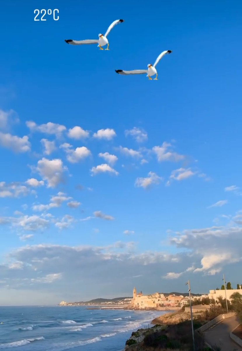 Bon dia!! Ens llevem amb sol 🌞

#calabalmins #sitges