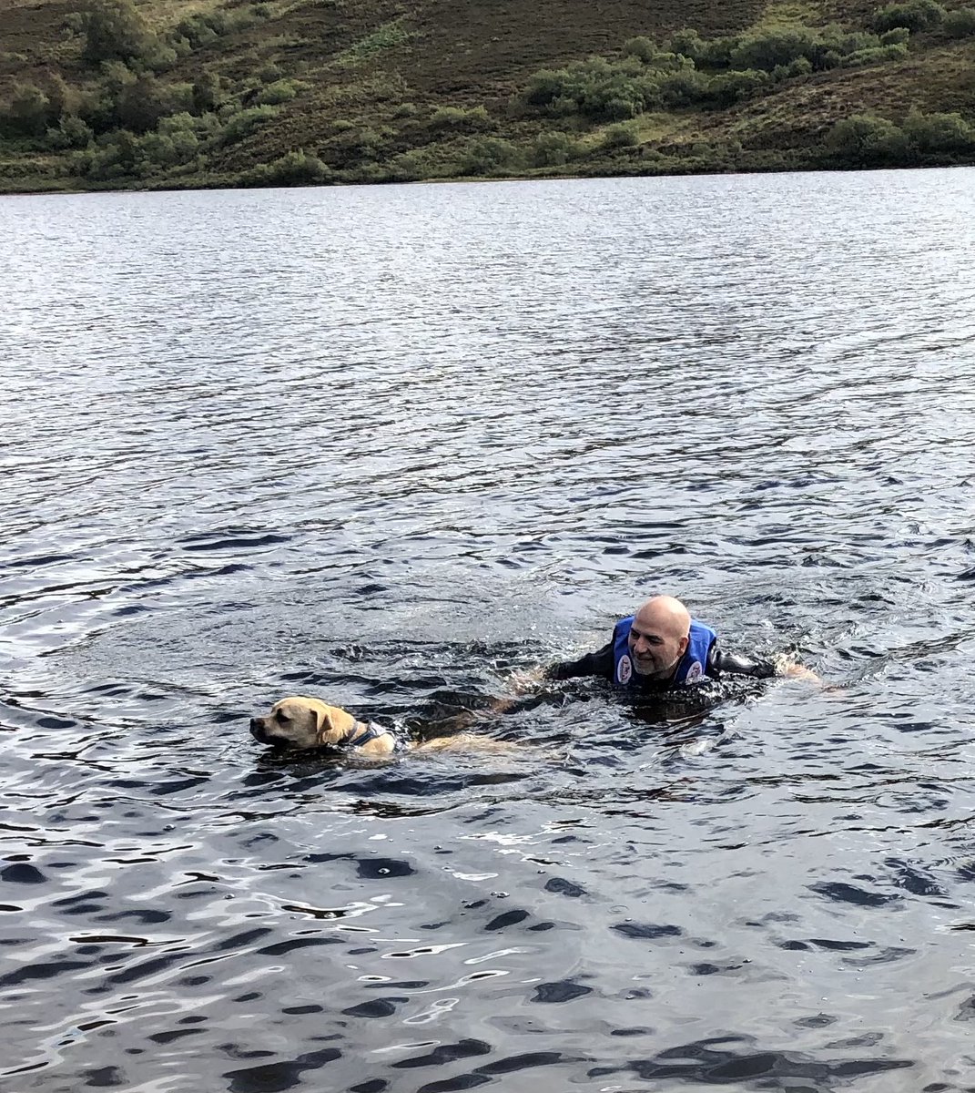cathyswales's tweet photo. Yesterday me and hudad went swimming in de Loch and then I went in his boat for a bit! I was a bit calmer today so even the big noisy planes didnโt spook me too much! #flyingzombies? I wore my life jacket in boat & I was on dads waist lead when swimming- safety!! @ZombieSquadHQ https://t.co/ba0BLX57z3