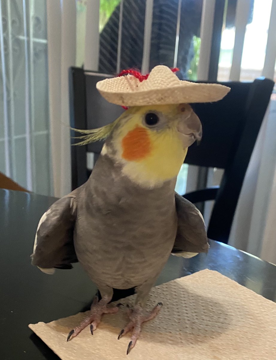 Happy Mexican Independence Day! Viva Mexico, ajuaaaa!
