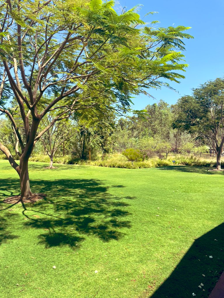BioscienceLtd's tweet photo. The boss back at Mindaroo, trying to improve tree health under irrigation in the Pilbara. https://t.co/qUwhdgVhRB