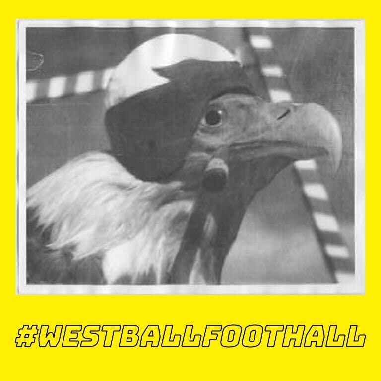 #WestBallFootHall We love Scrappy