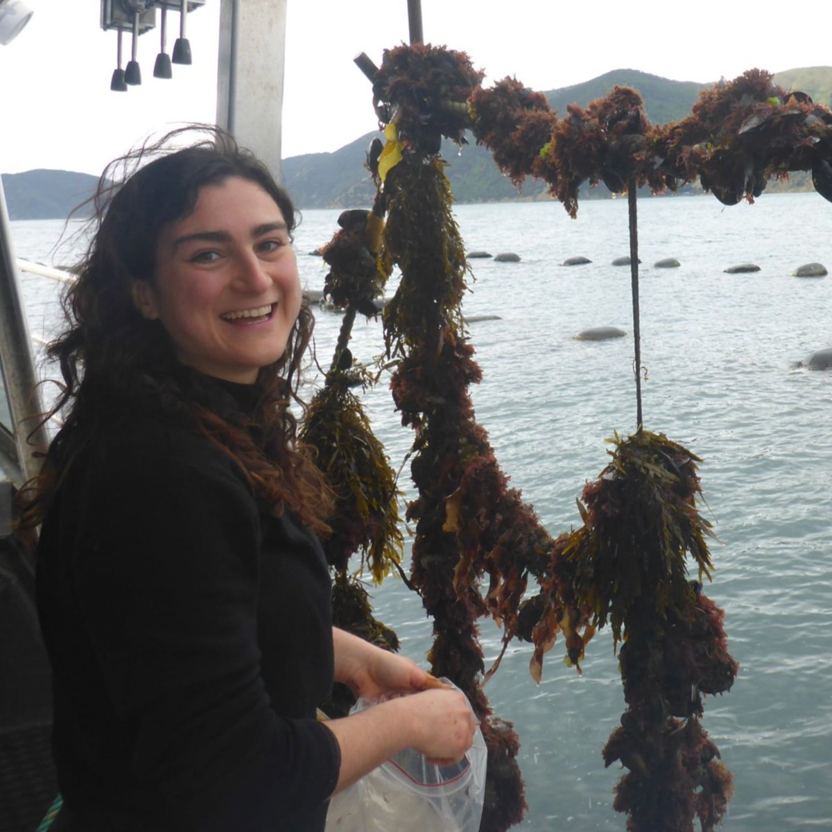 AuoraJp's tweet photo. 先日 @Cawthron_NZ  からポール・サウス（海藻の生物学的多様性を専門とする生態学者）とロゼラ・ニコライ（水産養殖技術者）が私たちの #マルボロサウンド の #養殖所 を訪れ、国家型研究の「Seaweed Sun Defence」プロジェクトのため #海藻 のサンプルを採集しました。 https://t.co/uppfTm6ThS