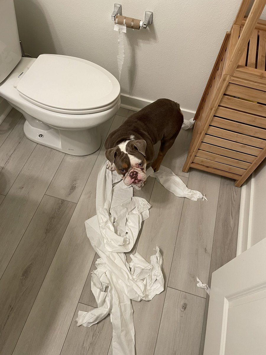 lolomichellee's tweet photo. @bakerspencer15 Left unattended shortly after… clearly she’s upset. Want her? Fml https://t.co/3rFG7OaW9v